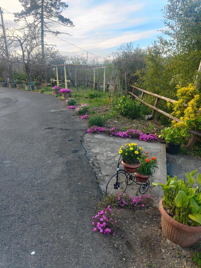 Il Giardino Dei Pavoni Hotel Soviore Buitenkant foto